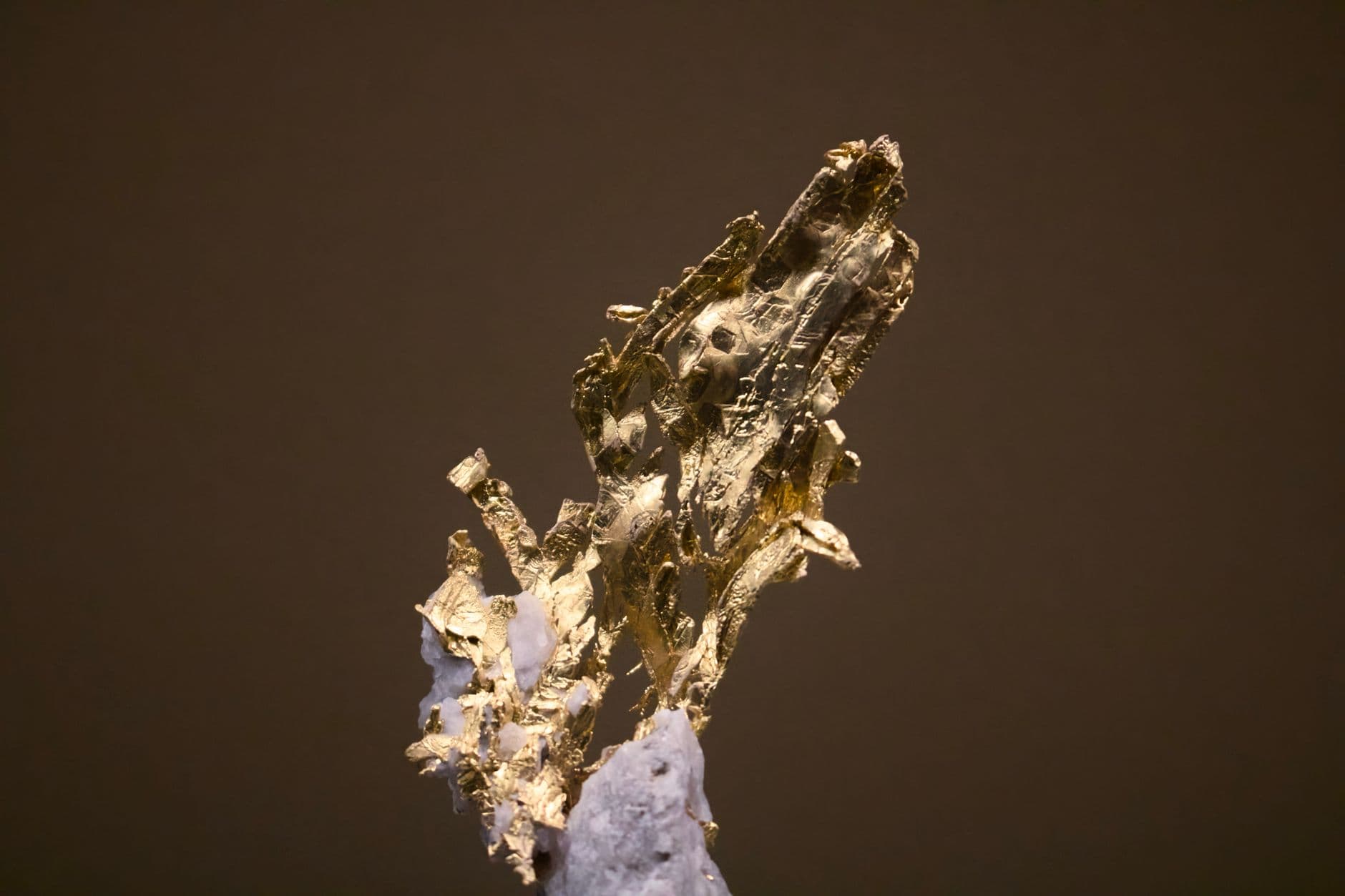 Macro photograph of a gold mineral formation against a dark ground.